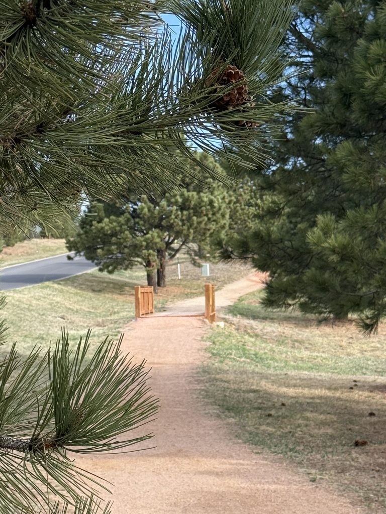 Kings Deer trails and open space